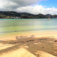 plage trinité martinique