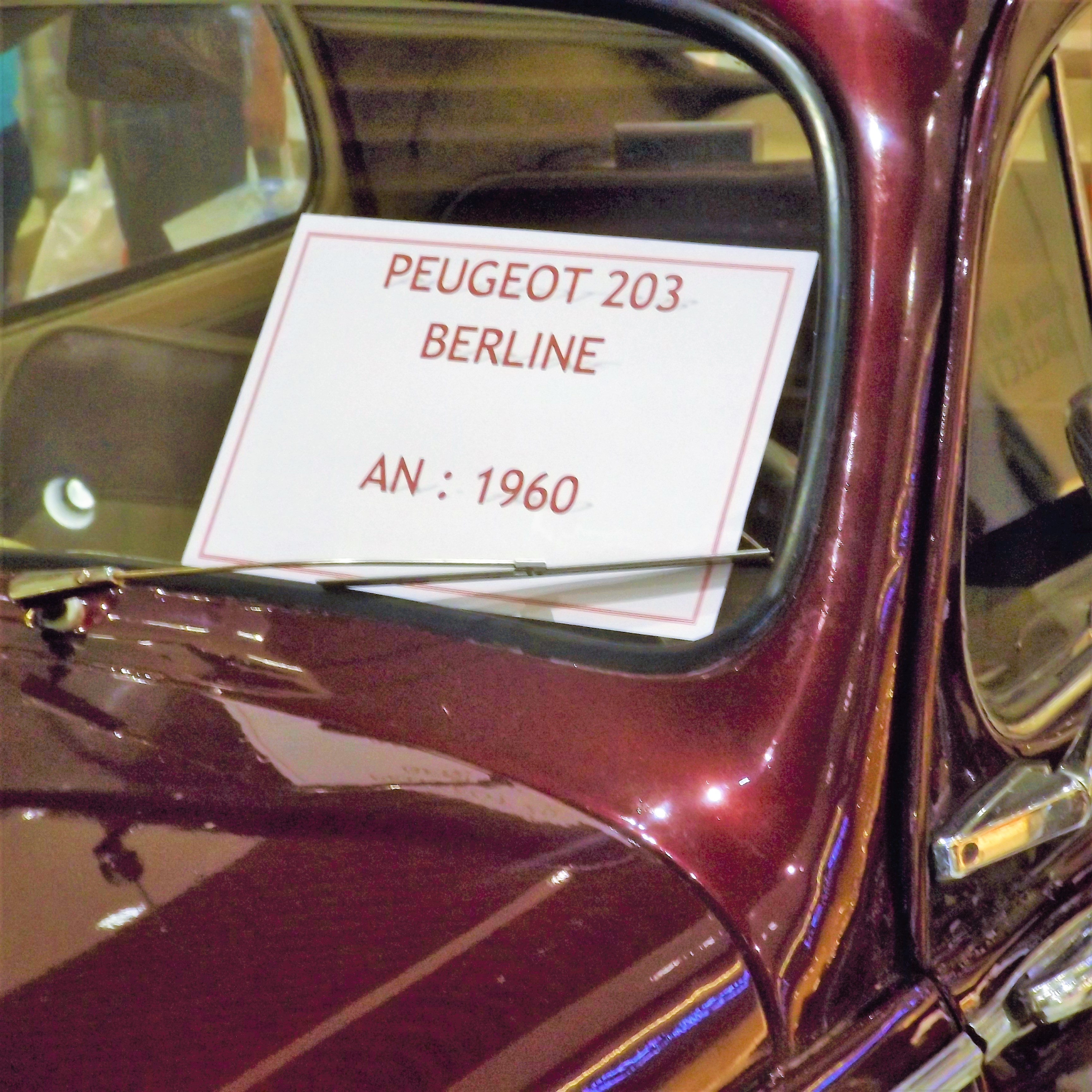 carrefour genipa catalogue  | peugeot 206 berline 1960