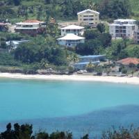 La plage des Raisiniers