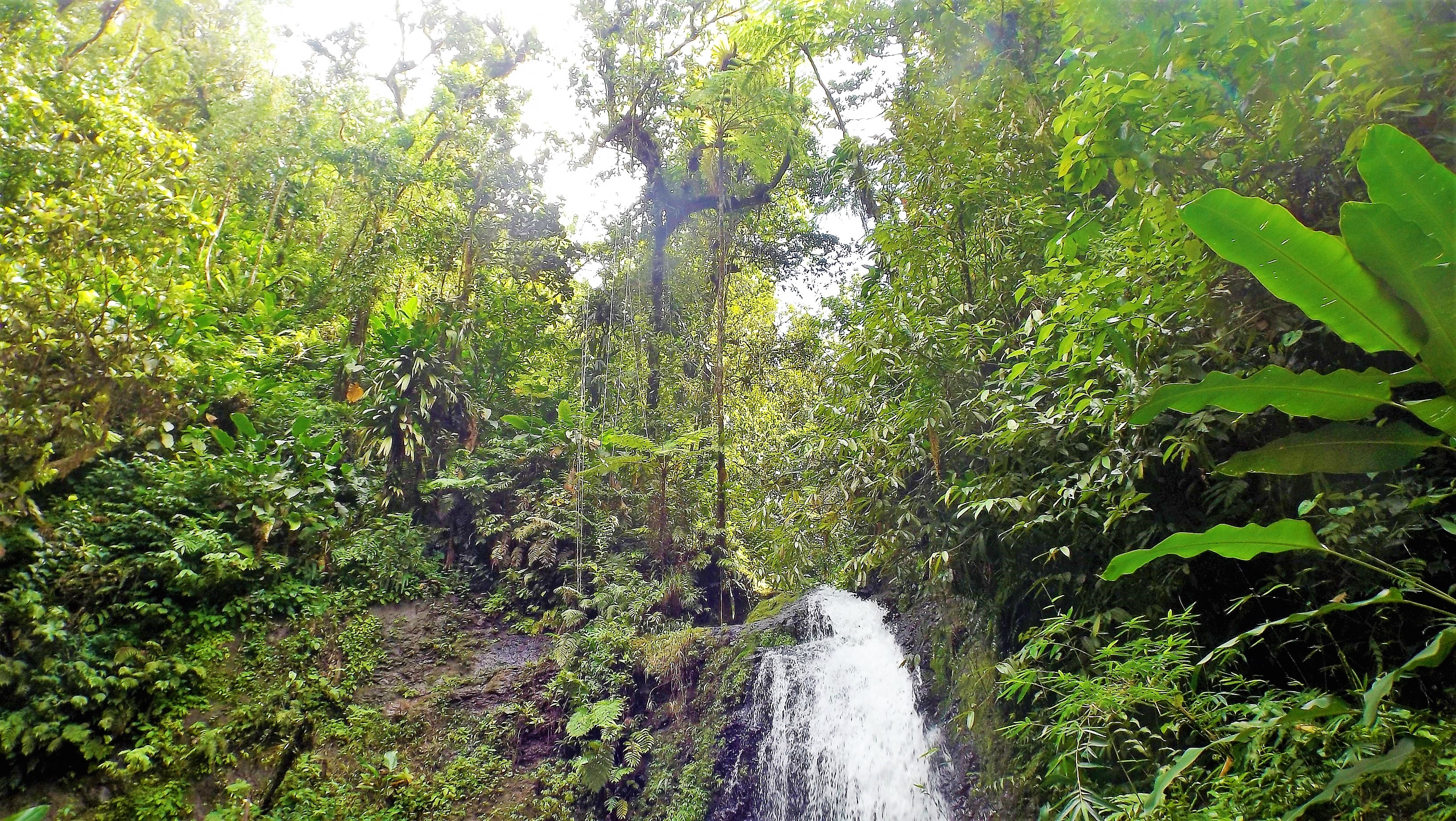 Cascade Saut Gendarme