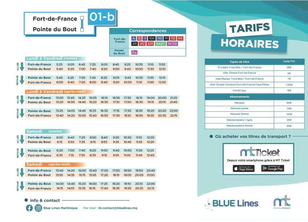 transport en martinique le duo gagnant tcsp et navettes maritimes