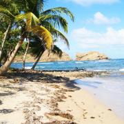 Anse azerot naturel 2 