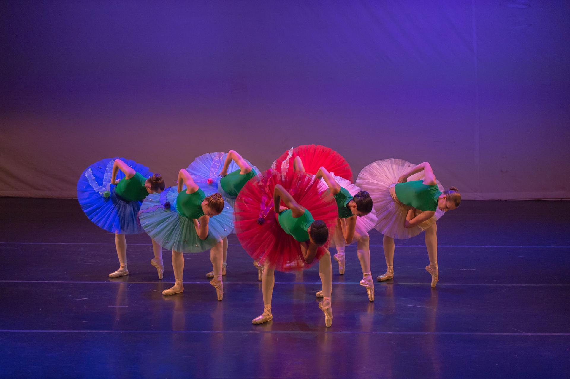 Ballet des ameriques tropiques atrium de fleurs