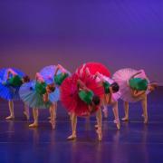 Ballet des ameriques tropiques atrium de fleurs