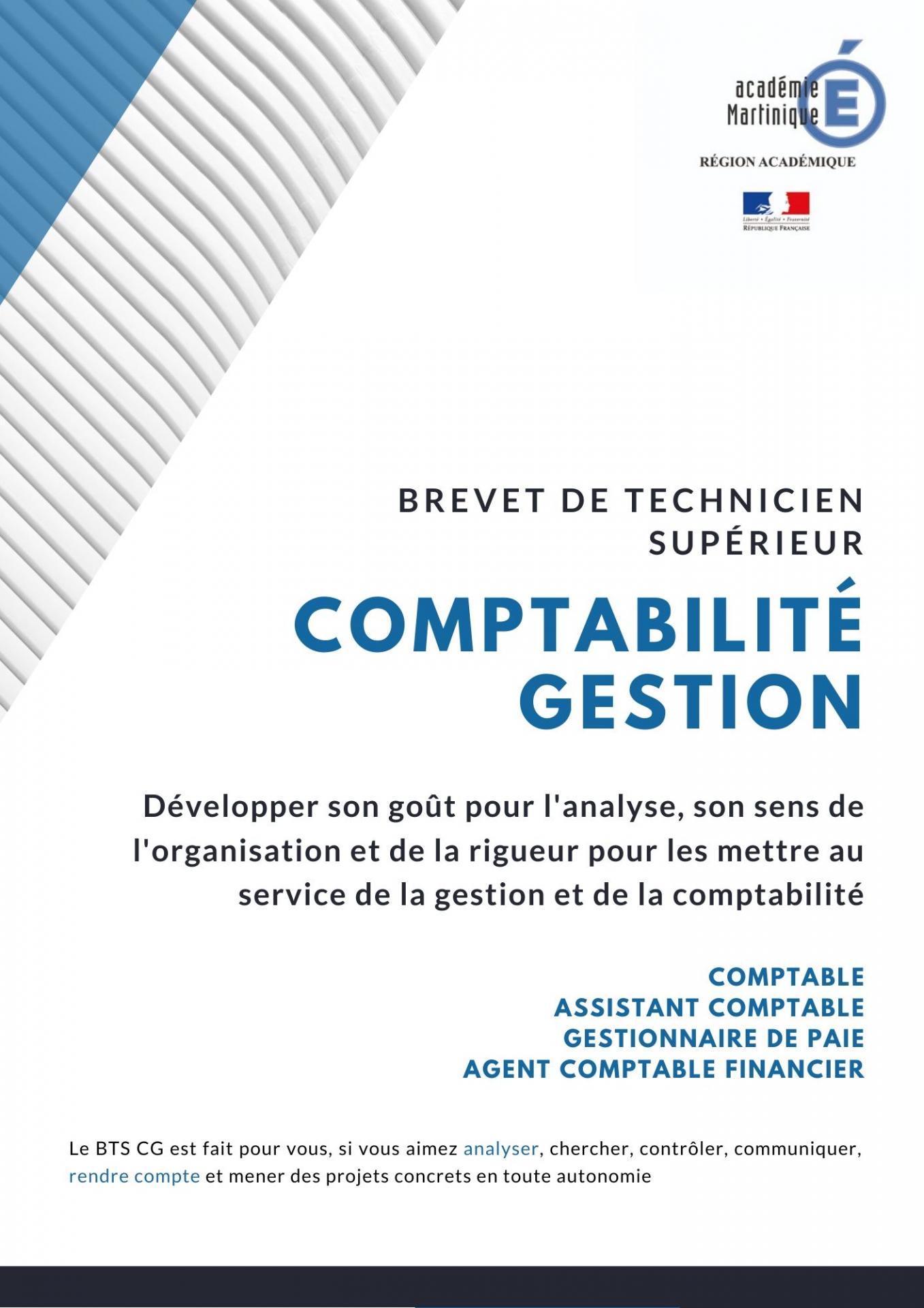 Bts comptabilite et gestion martinique