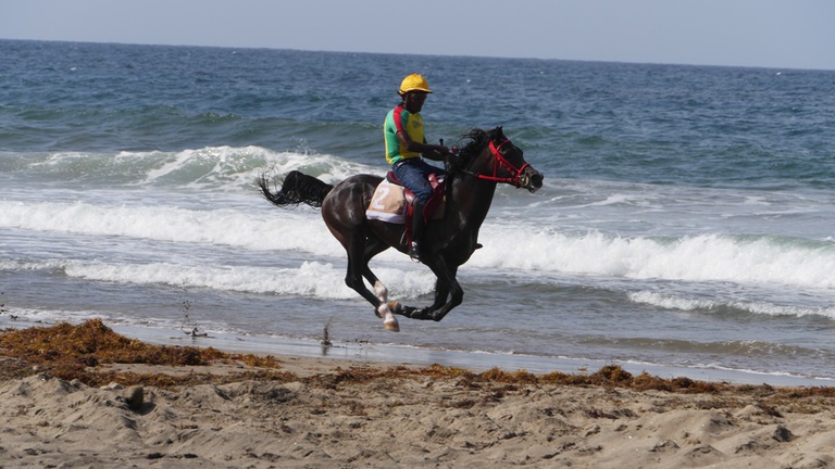 Courses de galop du 15 aout