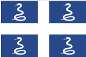 drapeau aux serpents