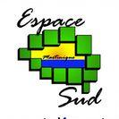 Espace sud martinique recrutement