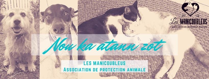 Journee mondiale des animaux