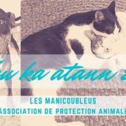 Journee mondiale des animaux