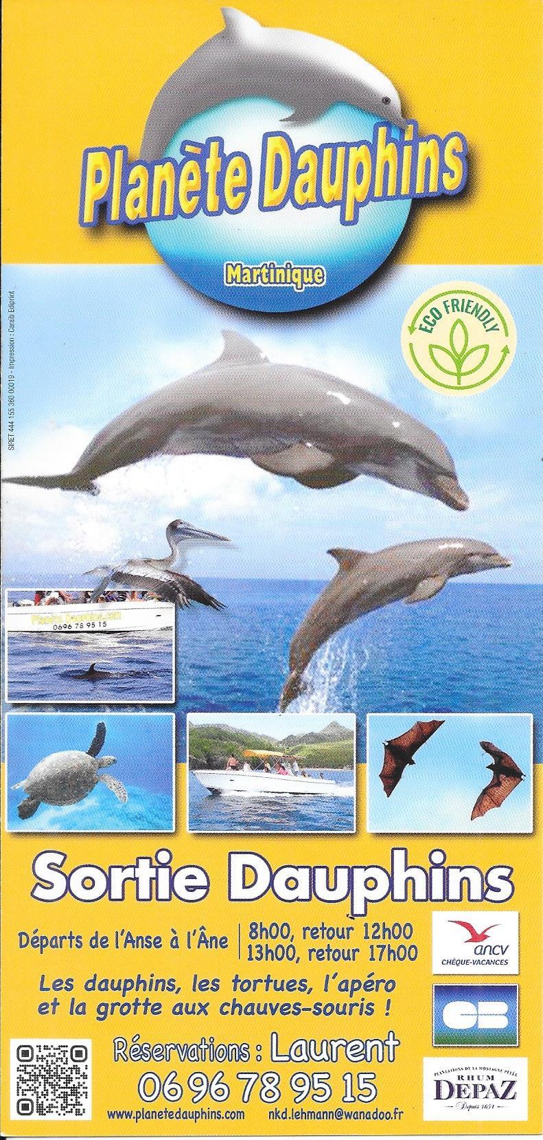 Planète Dauphins