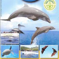 Planète Dauphins