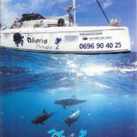 Aliotis Martinique