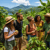 tourisme à la ferme